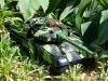 Czołg R/C War Tank do walki na podczerwień